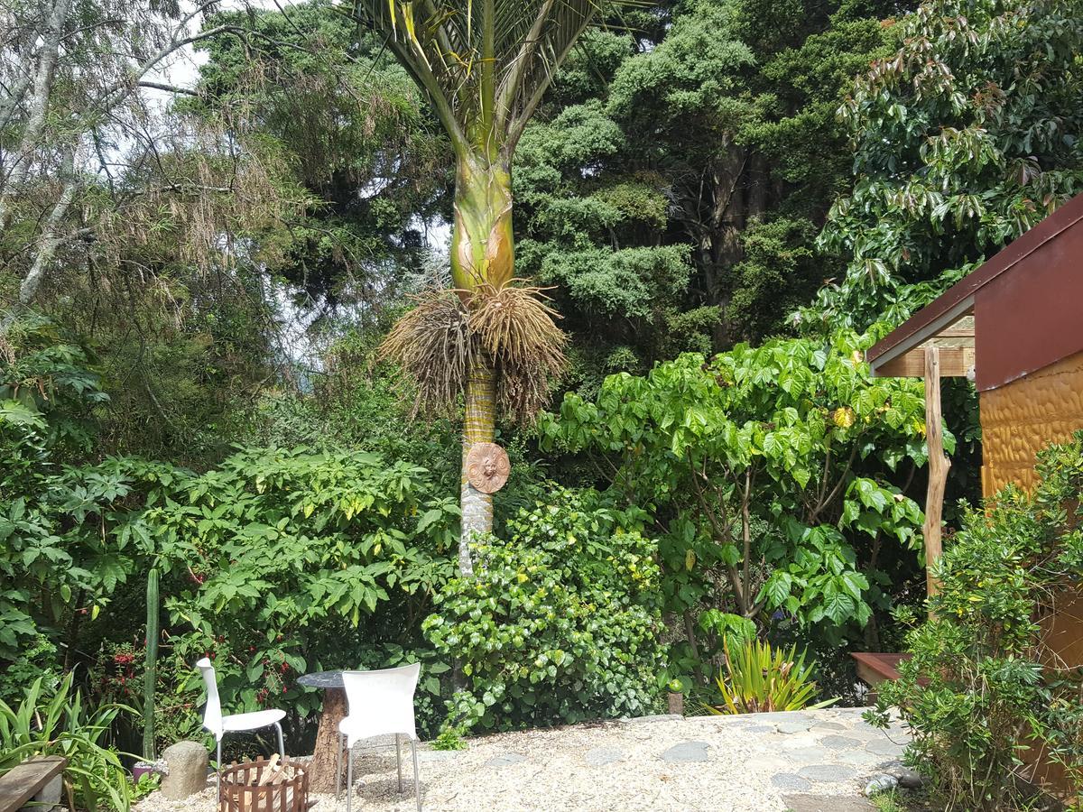 Chalet Karaka Takaka Exterior photo
